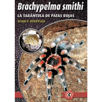 Brachypelma smithi