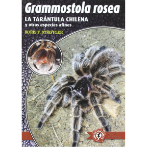 Grammostola rosea