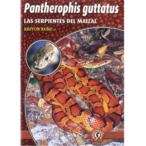 Pantherophis guttata