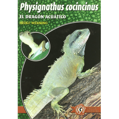 Physignathus cocincinus