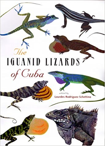 iguanid lizards of cuba