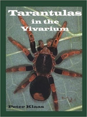 tarantulas in the vivarium