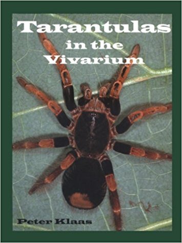 tarantulas in the vivarium